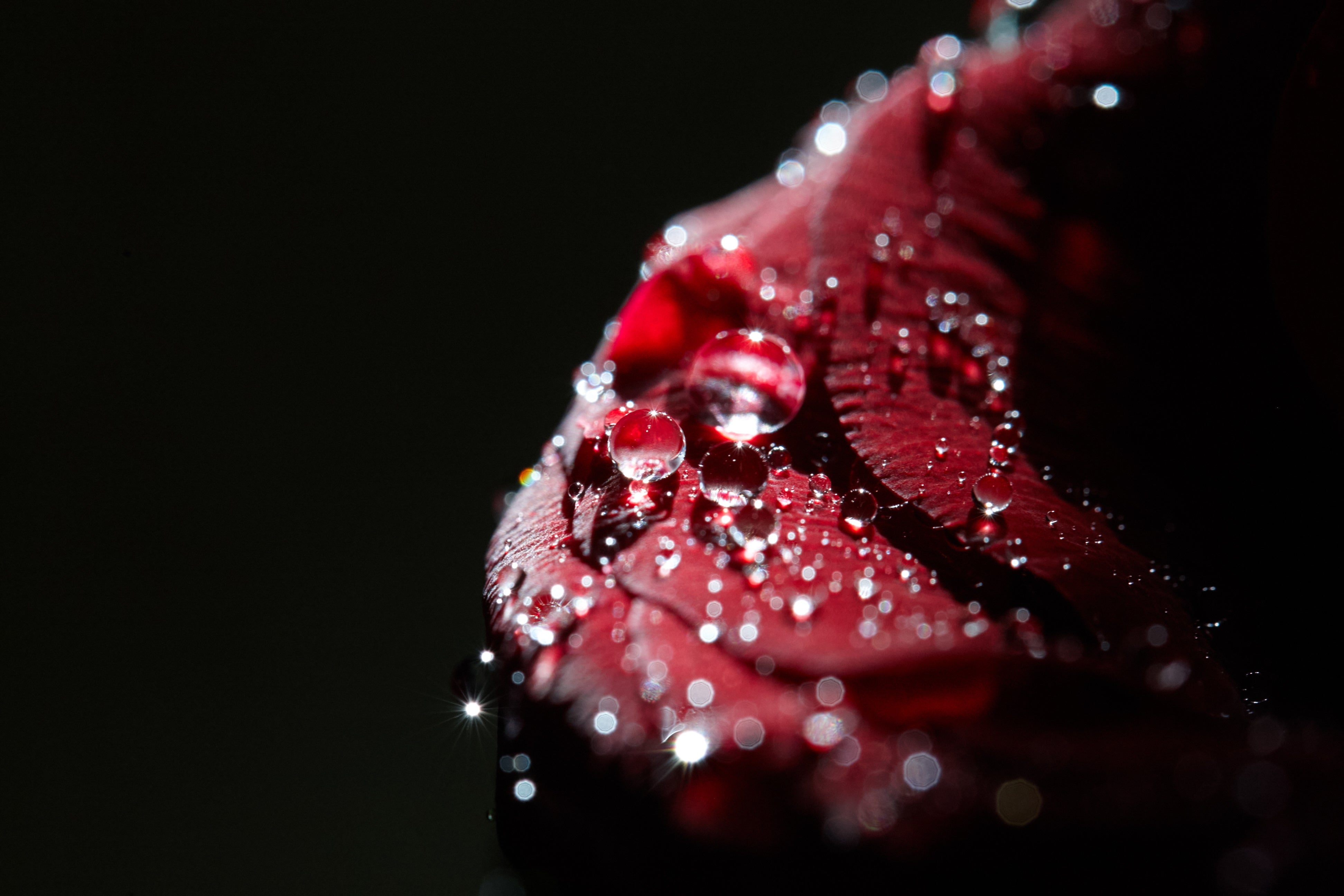 Unlock Youthful Skin with Stem Cell Anti-Aging Breakthroughs