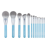 My Destiny 13-Piece High-Quality Makeup Brush Set - Beauty Unstoppable Makeup Brush Set